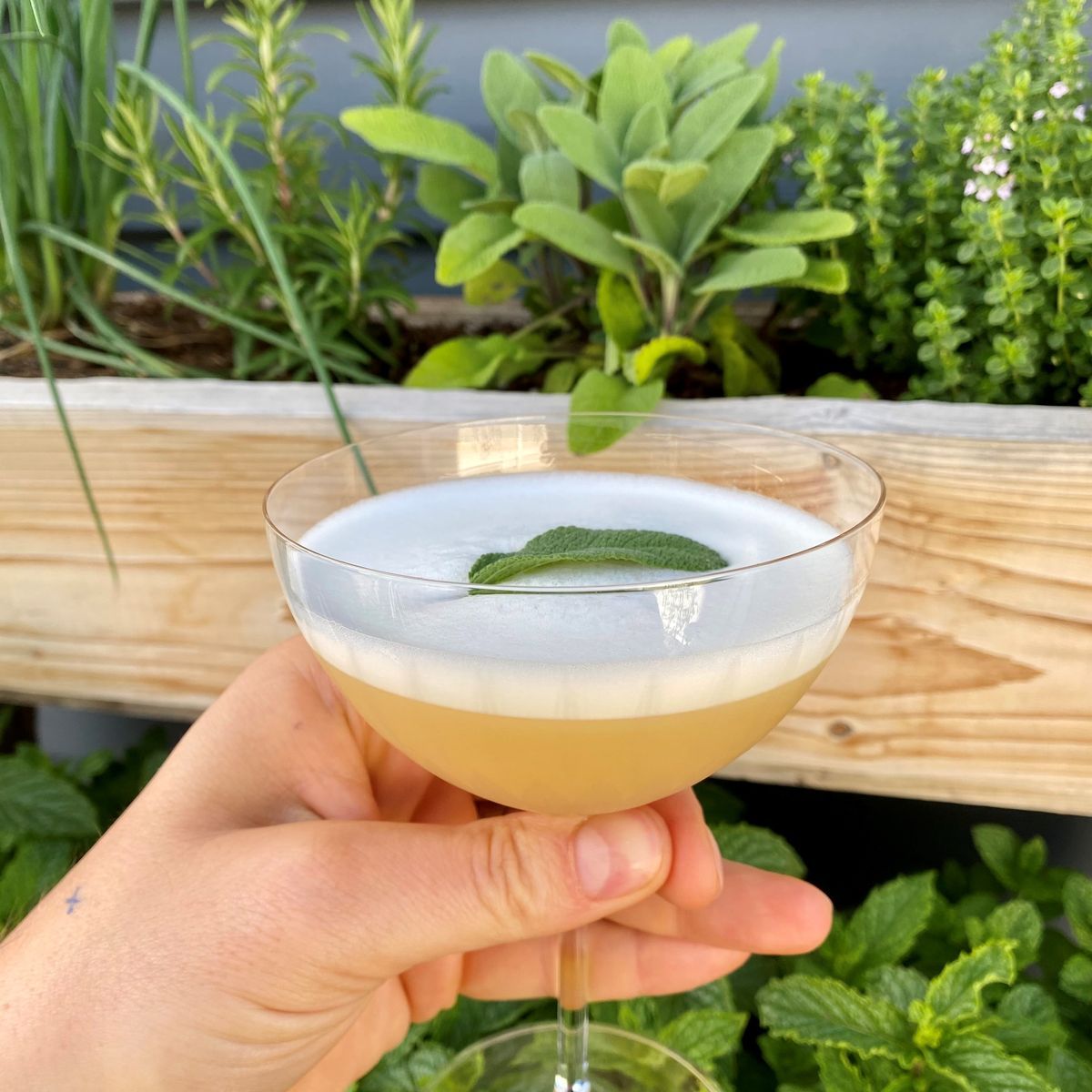 This is a sage-flavoured whisky sour. This savoury syrup is so easy to make if you have fresh sage growing in your garden. I found that the volume of lemon that you would typicaly use in a sour was overwhelming the sage flavour, so I reduced the lemon, which gave it a sweeter finish.